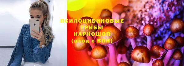 дмт Богородицк