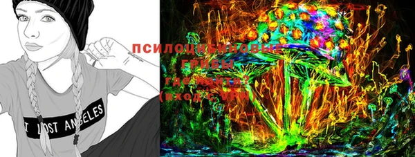 дмт Богородицк