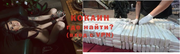 ПСИЛОЦИБИНОВЫЕ ГРИБЫ Вяземский
