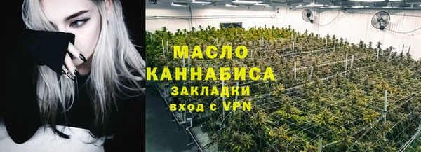 дмт Богородицк