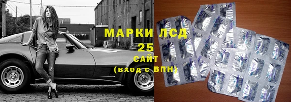 крисы Вязьма