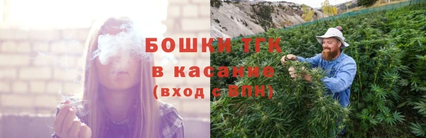 гашиш Богданович